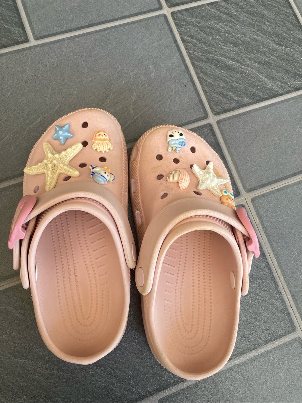 Kids Pink Clog Sandals with Sea Creature Charms